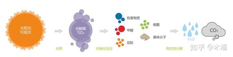 揭秘气触媒：神奇功效大起底 3