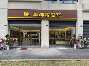 开设茶叶店铺的全面指南 2
