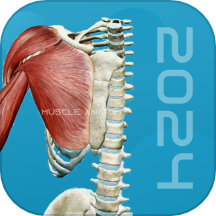 3D肌肉解剖app手机版 v1.1