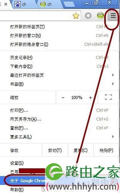 如何解决Chrome阻止使用过期Flash的问题 4