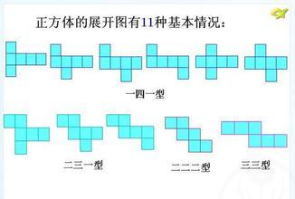 长方体和正方体的展开图具有哪些特点？ 3