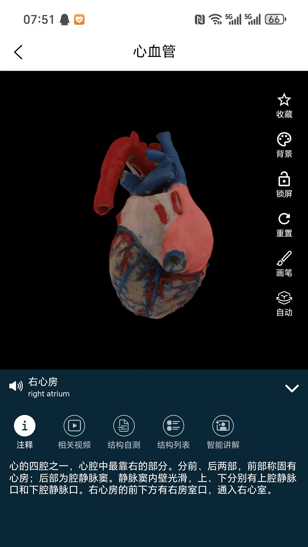 云解剖