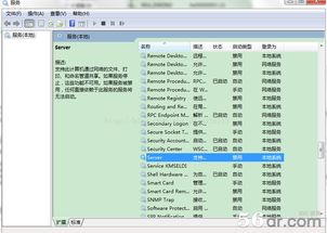 轻松掌握：如何检查系统中445端口的状态 3