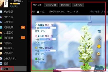 揭秘：QQ空间花藤快速升级的绝招！ 2