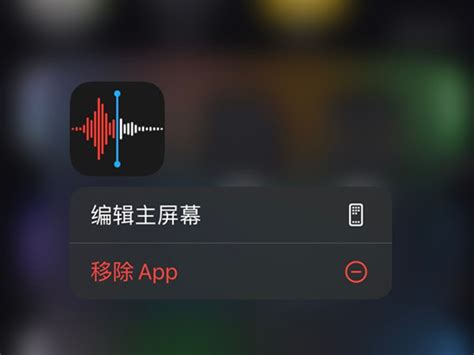 苹果手机没有录音功能吗？ 4