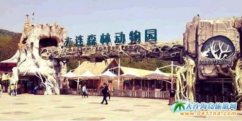 大连森林动物园旅游攻略该怎么制定？ 2