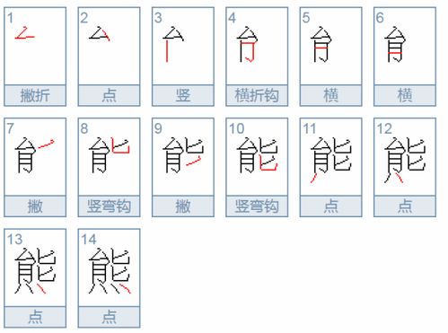 轻松学！狗熊'熊'字的正确笔顺全解析 2