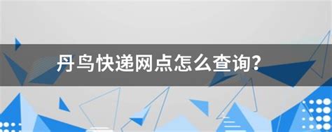 一键查询丹鸟快递物流信息 2