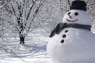 如何堆出既可爱又好看的雪人？ 1