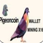 Pigeoncoin鸽子币 v1.3.0