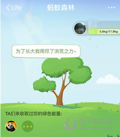 蚂蚁森林如何收取能量？ 2