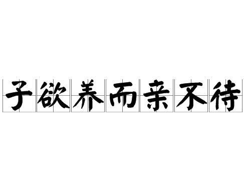 树欲静而风不止，子欲养而亲不待的前一句揭秘 1