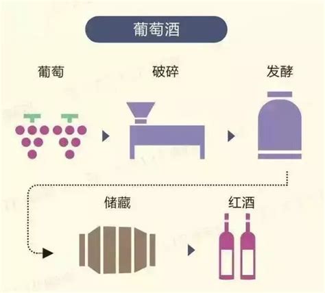 高效优化葡萄酒酿造全流程解析 3