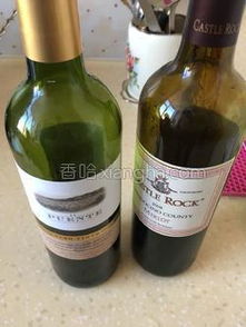 葡萄酒的酿造流程 2