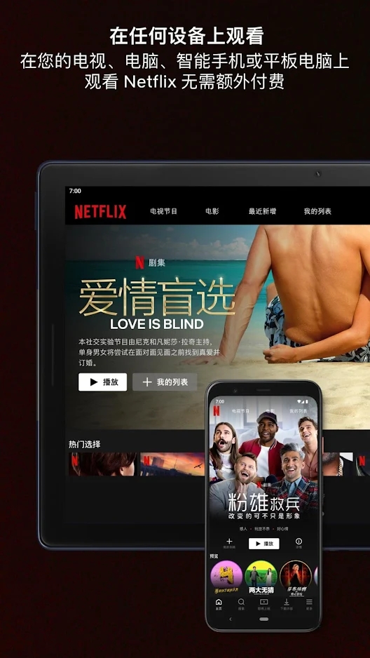 网飞netflix