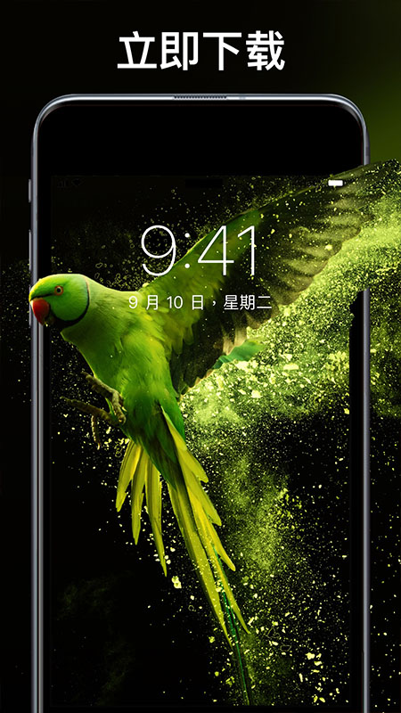 动态主题壁纸超清
