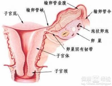 揭秘卵巢囊肿：高效治疗方法大揭秘 1