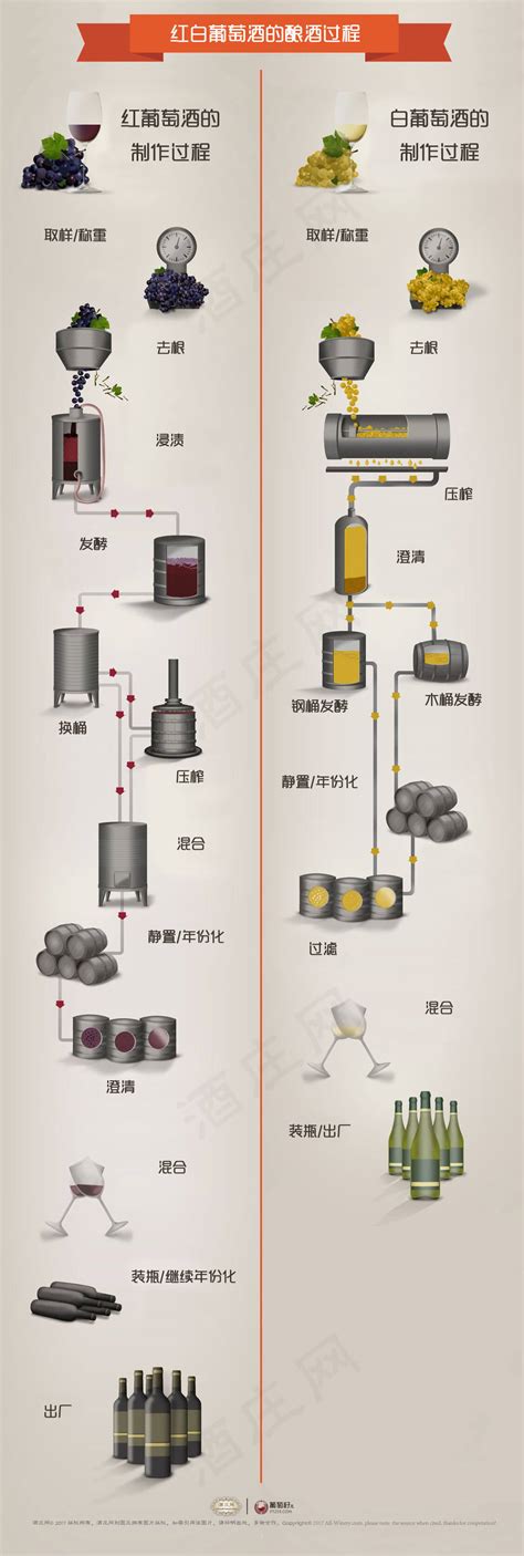 高效优化葡萄酒酿造全流程解析 1