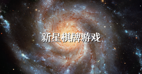 新星棋牌游戏