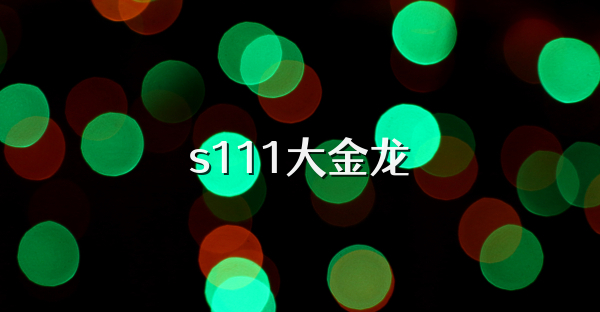 s111大金龙