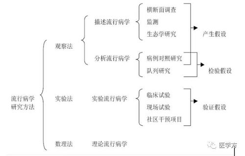 队列研究与病例对照研究：全面对比解析 1