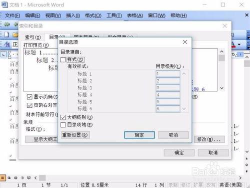 如何在Word 2003中使用大纲级别创建目录