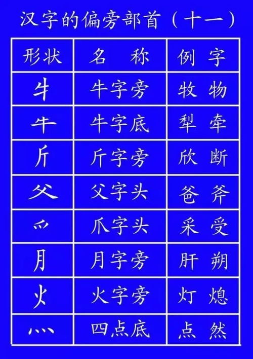 解锁'姐'字的魅力笔顺，轻松学写，一笔一划皆风韵！ 3