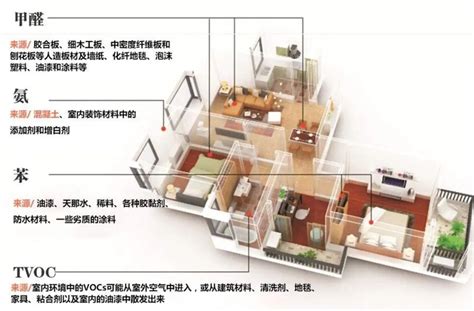 揭秘！最有效除甲醛方法，你绝对不可错过的家庭健康守护秘籍 3