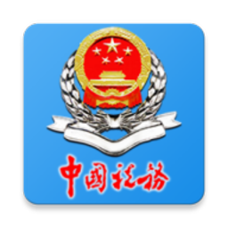 大连税务app