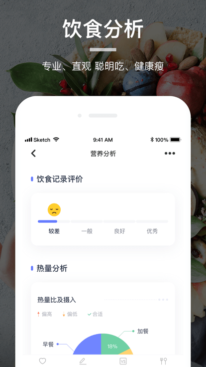 食物派