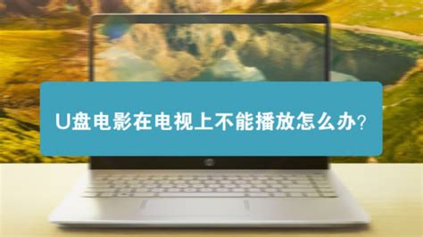 如何在土豆网上下载视频到电脑？ 5