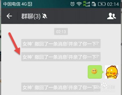 最新技巧：撤回消息并附上虚拟亲吻 3