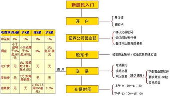 在线股票账户开立流程 2