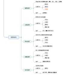提升思维导图运用效率的策略 3