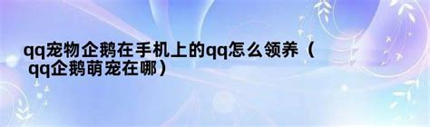 探索手机QQ：轻松领养你的专属QQ萌宠秘籍 5