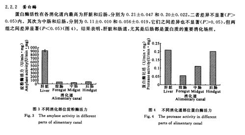 如何将毫克（mg）转换为克（g）？ 3