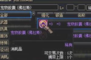 DNF宠物如何交易？必备条件与宠物胶囊获取攻略 3