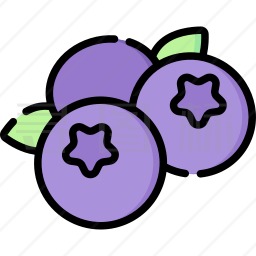 蓝莓音乐最新版本