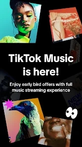 tiktok音乐