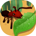 蚂蚁进化3D大树迷宫 v1.2