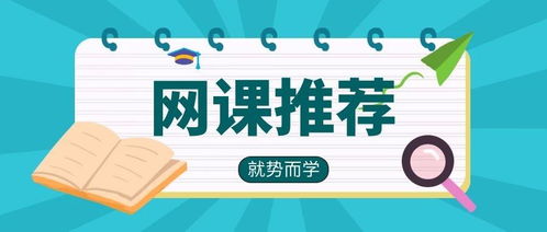 掌握高效技巧，轻松驾驭网课学习之旅 1