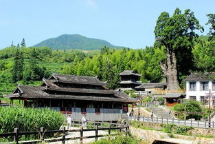 桃园宝岛：台湾桃园深度旅游指南 1