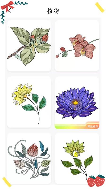 我的涂色本app