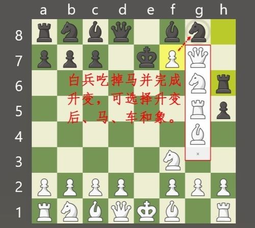 揭秘！国际象棋入门必备：掌握这些基本规则，轻松开启智慧对弈！ 1