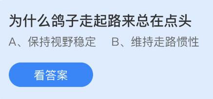 鸽子行走时为何频频点头？探索蚂蚁庄园之谜 1