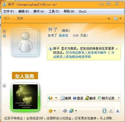 Windows Live Messenger有哪些实用技巧？ 2