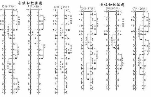 掌握二胡指法口诀，让你秒变演奏高手的速成秘籍！ 2