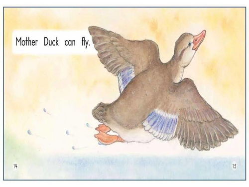 How to Pronounce 'Duck' in English 2