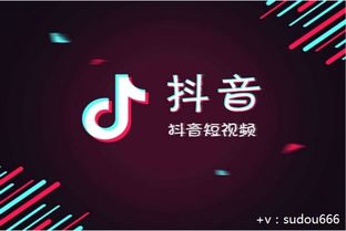 抖音账号流量检测全攻略 4