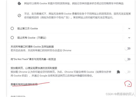 如何清除浏览器中的Cookies数据 4